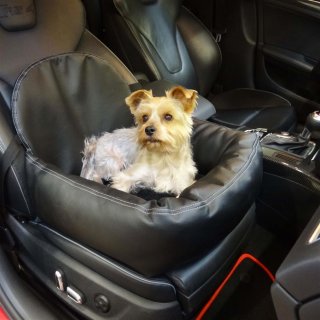 Knuffliger Autositz für Hund, Katze oder Haustier in Stoff oder Leder