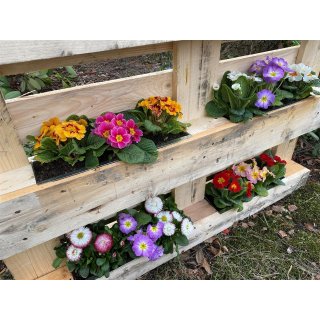 6er Blumenkasten Set Balkonkasten Einsatz passend für Europaletten für Blumen, Kräuter und Früchte 6 Stück 38cm