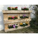 6er Blumenkasten Set Balkonkasten Einsatz passend für Europaletten für Blumen, Kräuter und Früchte 6 Stück 37cm