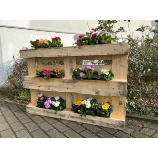 10er Blumenkasten Set Balkonkasten Einsatz passend für Europaletten für Blumen, Kräuter und Früchte 10 Stück 37cm