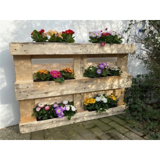 12er Blumenkasten Set Balkonkasten Einsatz passend für Europaletten für Blumen, Kräuter und Früchte 12 Stück 37cm