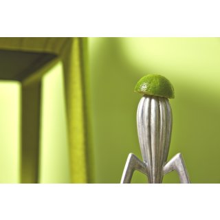 2,5 Liter Colourcourage Premium Wandfarbe Lime Cream Hellgrün | L719778607 | geruchslos | tropf- und spritzgehemmt