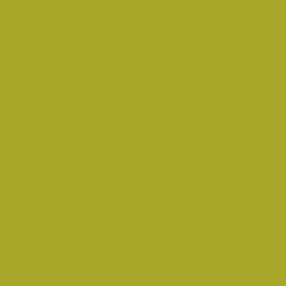 colourcourage L709449L04 Premium matt Moutarde Verte 2,5L bunte Wandfarbe, 2.5 l (1er Pack)