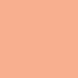 2,5 Liter Colourcourage Premium Wandfarbe Terra de Siena Orangebraun | L719778618 | geruchslos | tropf- und spritzgehemmt