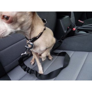 Knuffliger Autositz für Hund, Katze oder Haustier inkl. Hundehaltegurt und Sitzbefestigung