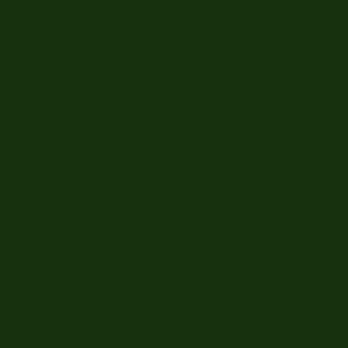 4x Rasengitter 49,5x49,5x4 cm Grün Rasengitterplatten Rasenwaben Rasenmatten mit Bodenkreuzen Bodenwaben 4 Stück (0,99 m²)