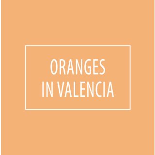 2,5 Liter Premium Klasse 1 Wandfarbe Oranges in Valencia | Orange | tropf- und spritzgehemmt | hochdeckend | geruchslos | Edelmatt