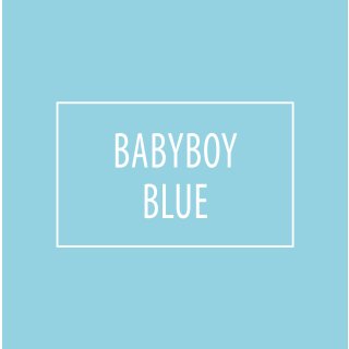 2,5 Liter Premium Klasse 1 Wandfarbe Babyboy Blue | Babyblau | tropf- und spritzgehemmt | hochdeckend | geruchslos | Edelmatt