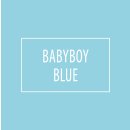 2,5 Liter Premium Klasse 1 Wandfarbe Babyboy Blue | Babyblau | tropf- und spritzgehemmt | hochdeckend | geruchslos | Edelmatt