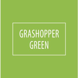 2,5 Liter Premium Klasse 1 Wandfarbe Grashopper Green | Grün | tropf- und spritzgehemmt | hochdeckend | geruchslos | Edelmatt