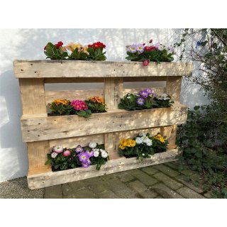 Blumenkasten Set Balkonkasten Einsatz passend für Europaletten im Wellendesign für Blumen, Kräuter und Früchte 37cm