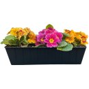 Blumenkasten Set Balkonkasten Einsatz passend für Europaletten im Wellendesign für Blumen, Kräuter und Früchte 37cm