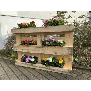6er Blumenkasten Set Balkonkasten Einsatz passend für Europaletten im Wellendesign für Blumen, Kräuter und Früchte 6 Stück 37cm