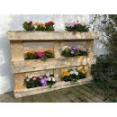 10er Blumenkasten Set Balkonkasten Einsatz passend für Europaletten im Wellendesign für Blumen, Kräuter und Früchte 10 Stück 37cm